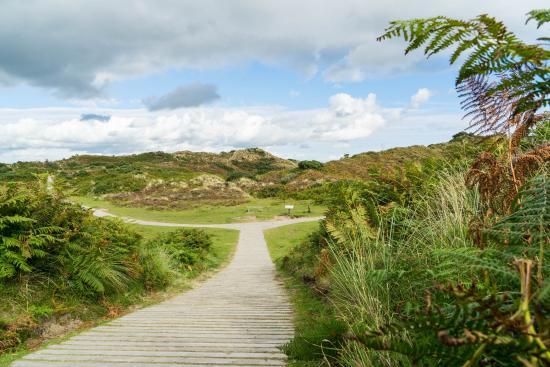 Murlough National Nature Reserve